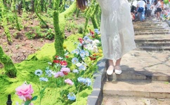 一本大道高清视频在线观看